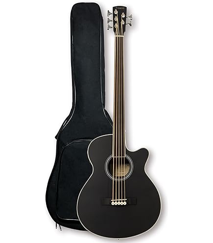 フレットレスギター　三味線ボディ　ショートスケール　魚皮張り　超レア品 楽天市場】ショートスケール フレットレス ベースの通販